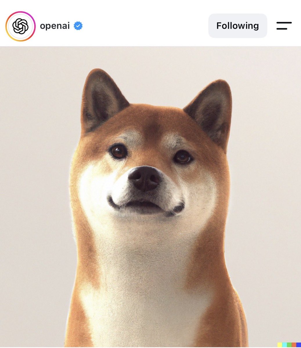 OpenINU's tweet photo. $OpenINU ON OpenAi instagram https://t.co/mKS5dzKR1c