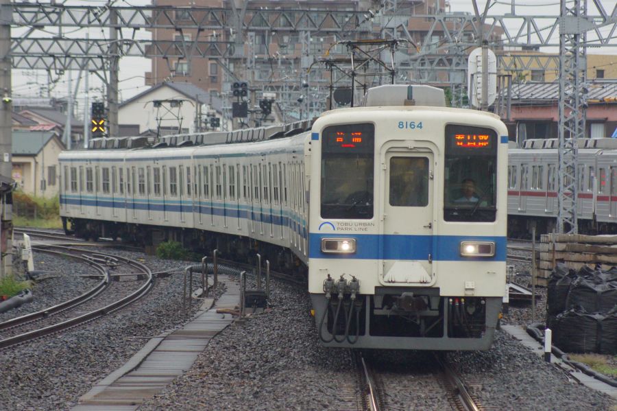 Nodatan_5580's tweet photo. 80000系導入で廃車になった8000系 (3)
8164F (2026年2月廃車)
2010.4.13
2011.10.-2
2015.5.15
2025.10.20 https://t.co/dEDjo8iwpt
