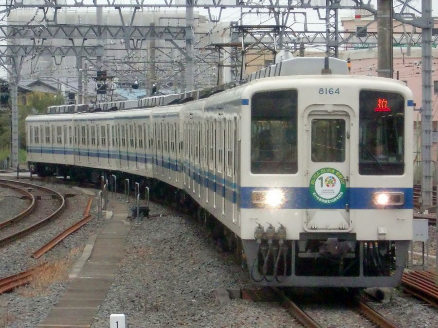Nodatan_5580's tweet photo. 80000系導入で廃車になった8000系 (3)
8164F (2026年2月廃車)
2010.4.13
2011.10.-2
2015.5.15
2025.10.20 https://t.co/dEDjo8iwpt