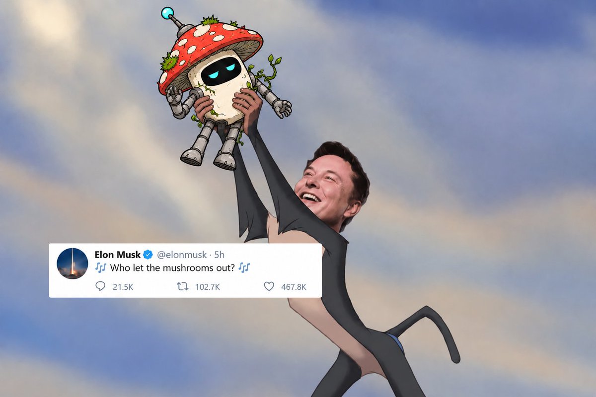 organic_mycel's tweet photo. Can we make this happen? 🍄 https://t.co/KdAnrGwFGi