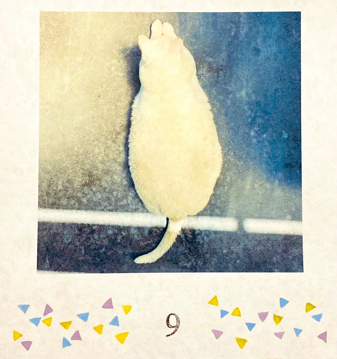 aimmee511's tweet photo. ﾊﾞｲﾊﾞｲ9月 https://t.co/Y8ifMgxKVG