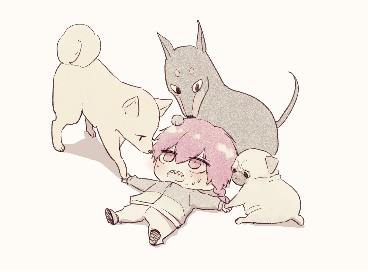 kai1asuta's tweet photo. krn🐶 https://t.co/yANnT6rwyj