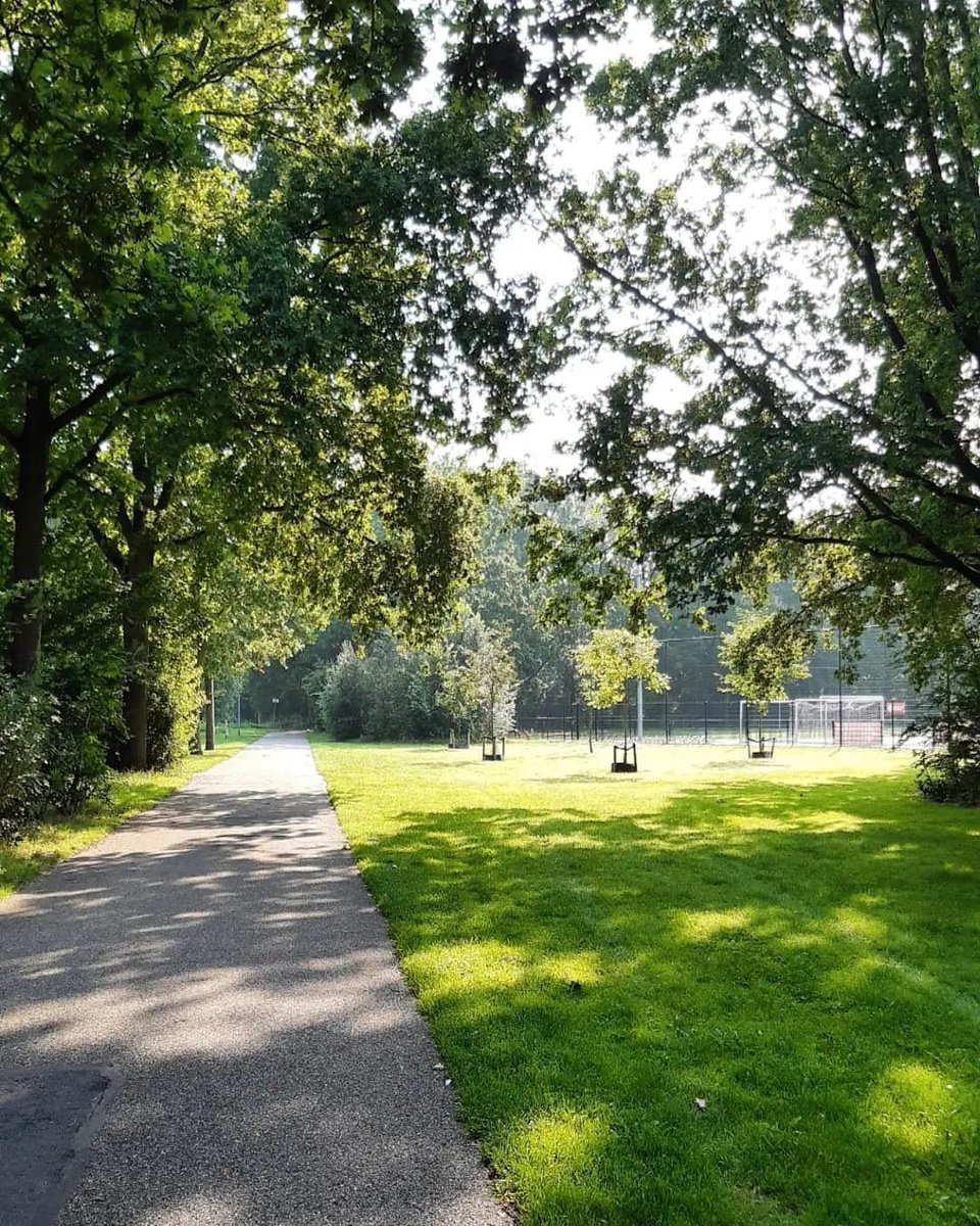 kassialiska's tweet photo. Morning run / walk! As slow as a snail, but I'm so happy I'm feeling well enough again to move! 💪🏼 Happy Saturday! ☀️🏃🏼‍♀️🐌🌳🤰🏼🙏🏻

#zenmetlen #zenwithlen #running #run #runinnature #walkinnature #walking #runningvibes #starttorun #keeprunning https://t.co/pDcG8gKLUT