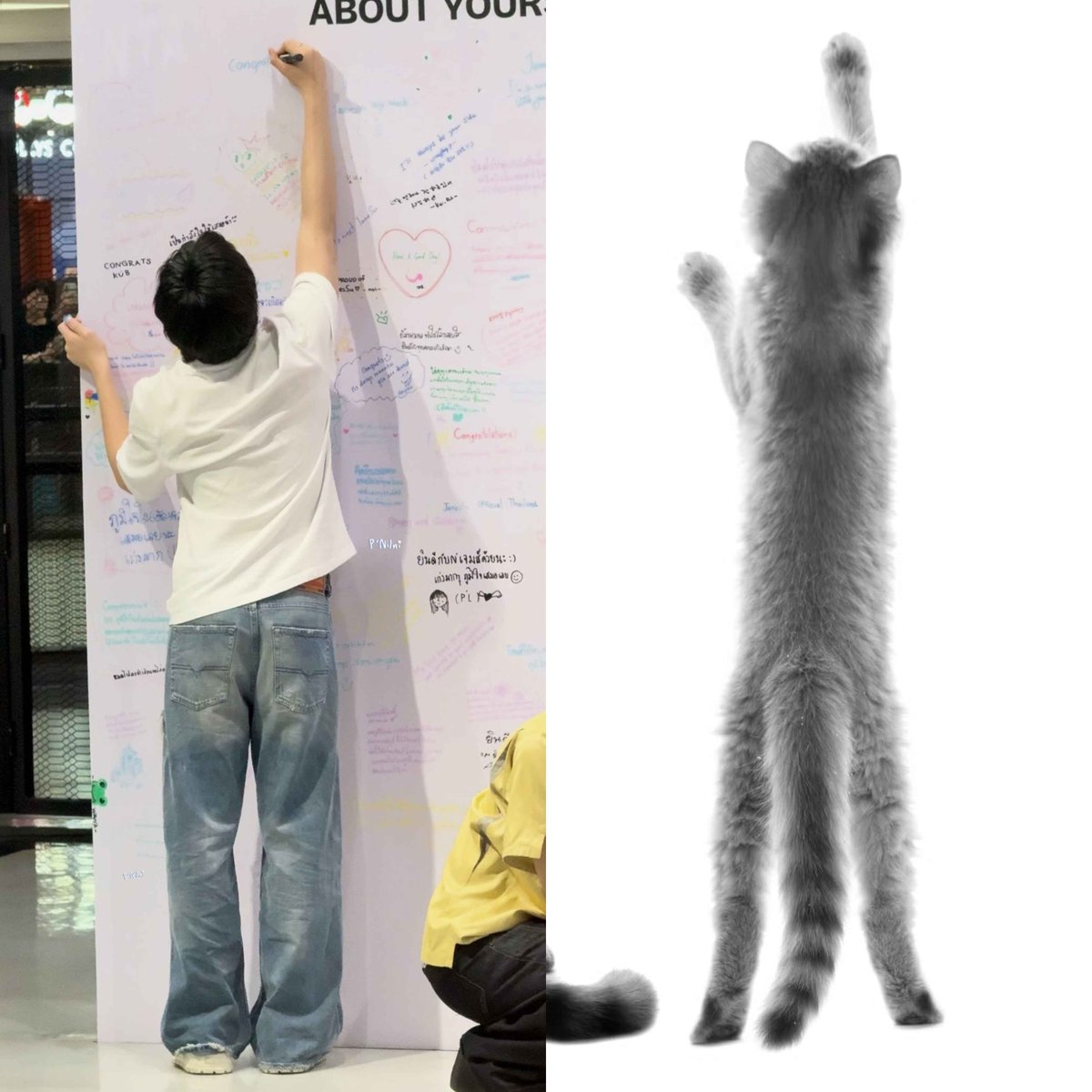 dearpttp's tweet photo. spot the difference

#porsuppakarn https://t.co/tHNKD8GIds