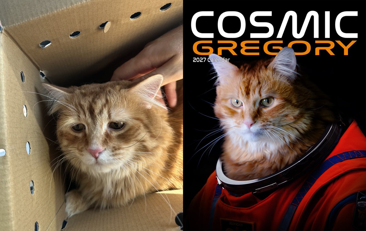 AJamesMcCarthy's tweet photo. 2 years ago, I found the saddest cat in the shelter and took him home. 

Last year, he raised $10k for that same shelter by starring in his own calendar. 

This year, we're going to do even better.

Happy gotcha day, Gregory. 

Preorders now available: https://t.co/arBRwdqxhL https://t.co/5ADWfhNwlb