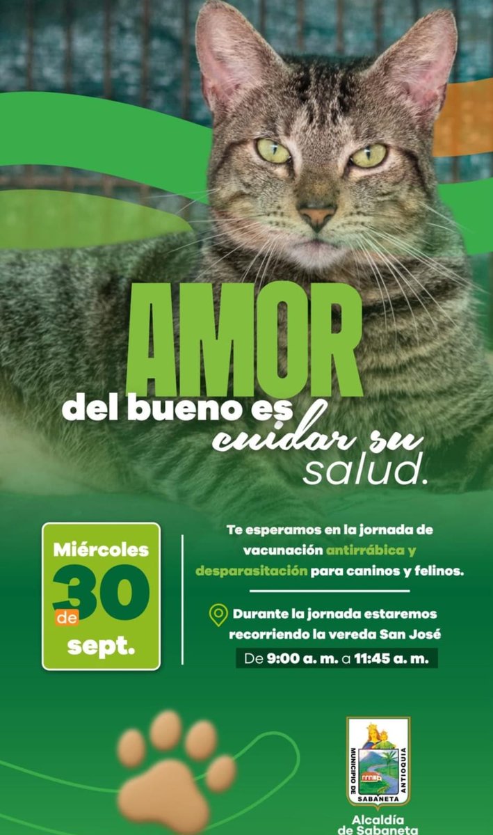 Guardianes_Ant's tweet photo. 🐱🐶 #BienestarAnimal #Sabaneta | Jornada de vacunación antirrábica y desparasitación para perros y gatos en Sabaneta
La Alcaldía de Sabaneta invita a la comunidad a participar en la jornada gratuita de salud animal dirigida a caninos y felinos. "Amor del bueno es cuidar su salud".
📅 Fecha: Miércoles 30 de septiembre.
⏰ Horario: De 9:00 a. m. a 11:45 a. m.
📍 Lugar: Recorrido por la vereda San José.
💉 Servicios: Vacunación antirrábica y desparasitación gratuita para perros y gatos.
Aprovecha esta oportunidad para mantener al día el esquema de salud de tus mascotas y proteger a toda la comunidad.
#Sabaneta #BienestarAnimal #MascotasSabaneta #SaludAnimal #TenenciaResponsable #GuardianesAntioquia
