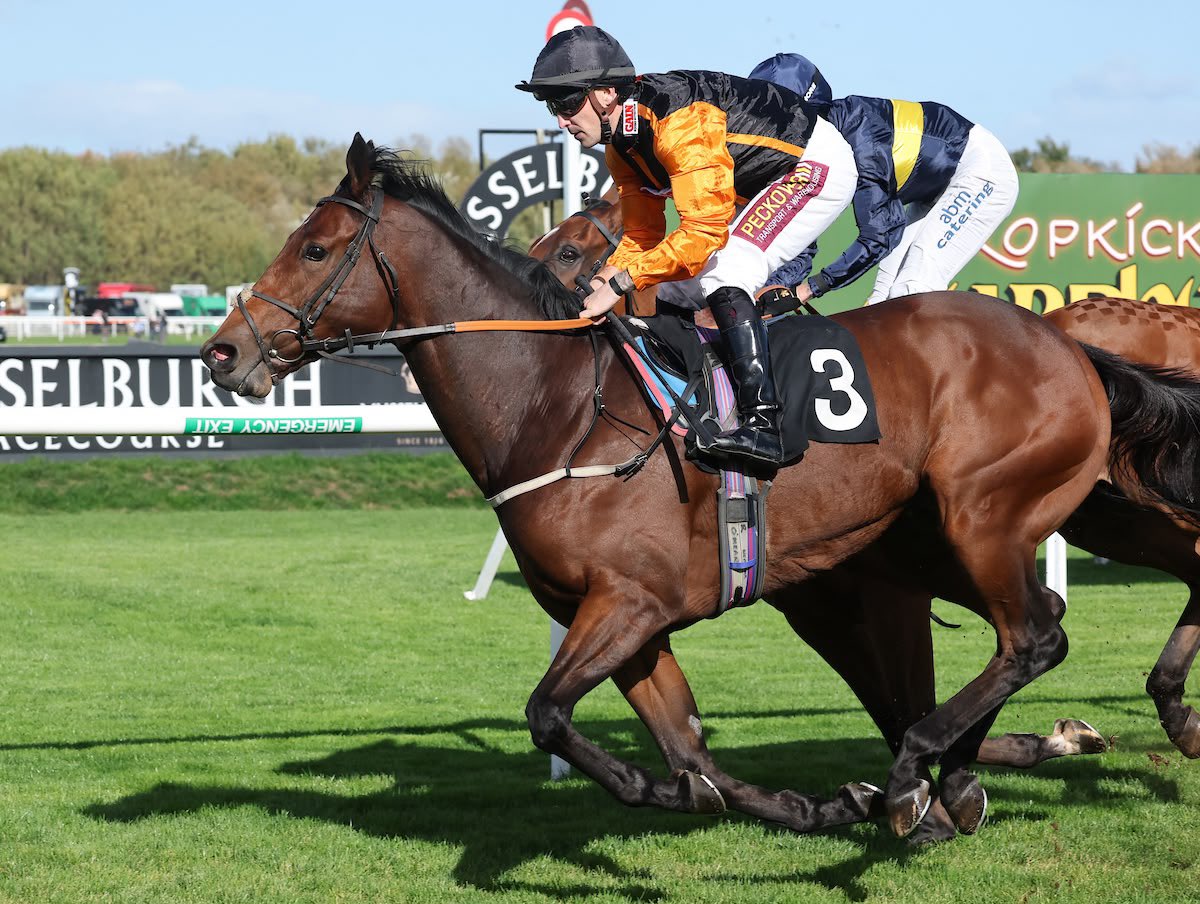 weatherbysltd's tweet photo. Walsingham gets the job done in the Weatherbys Racing Bank Selling Stakes @MusselburghRace! 🏆

A great ride from Kevin Stott for @omeararacing - and fantastic to have @cdixon82 on hand to collect the winners trophy on behalf of @Horsewatchers1.
Many congratulations to all connections! 👏🏻 

Thanks to @grossickphoto for the excellent 📸