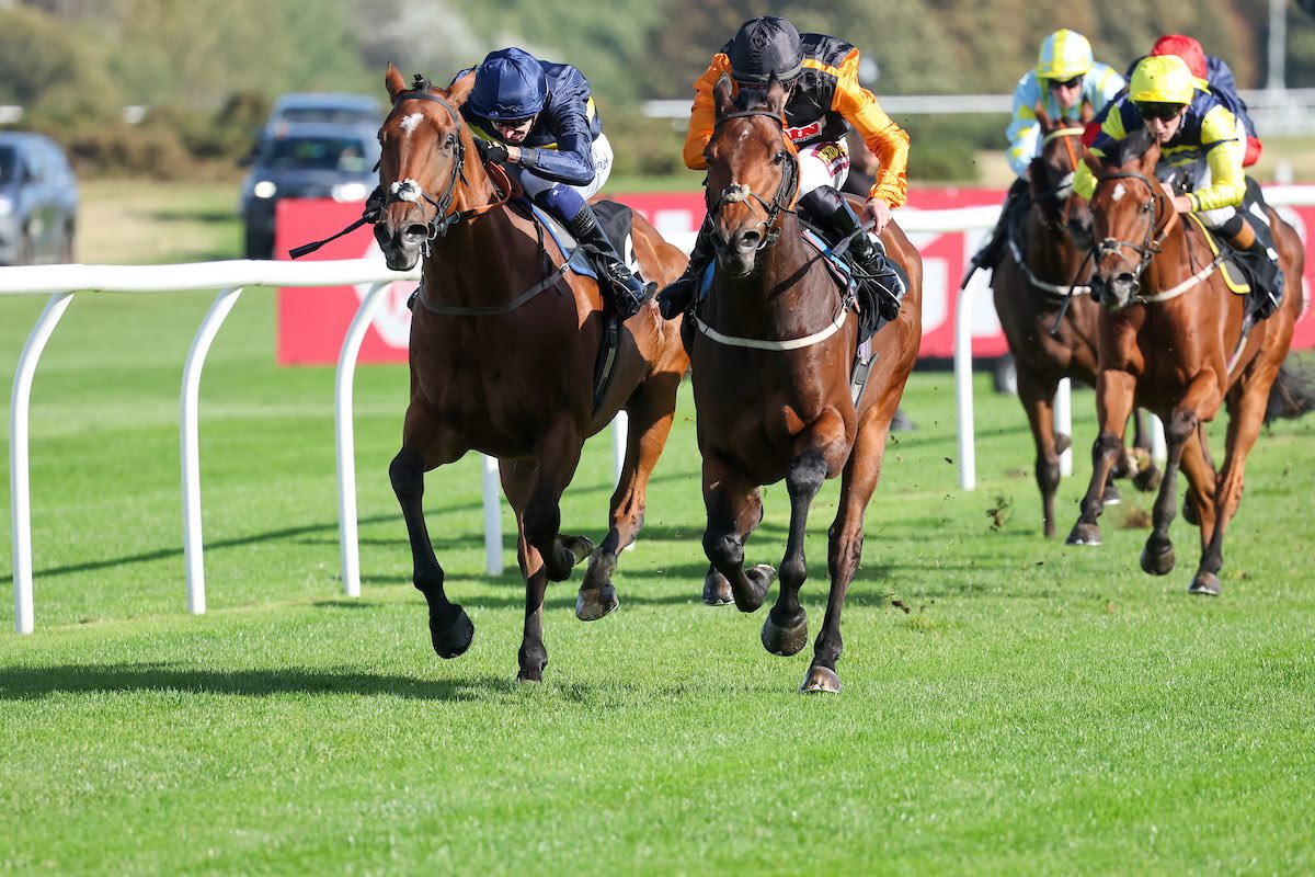 weatherbysltd's tweet photo. Walsingham gets the job done in the Weatherbys Racing Bank Selling Stakes @MusselburghRace! 🏆

A great ride from Kevin Stott for @omeararacing - and fantastic to have @cdixon82 on hand to collect the winners trophy on behalf of @Horsewatchers1.
Many congratulations to all connections! 👏🏻 

Thanks to @grossickphoto for the excellent 📸