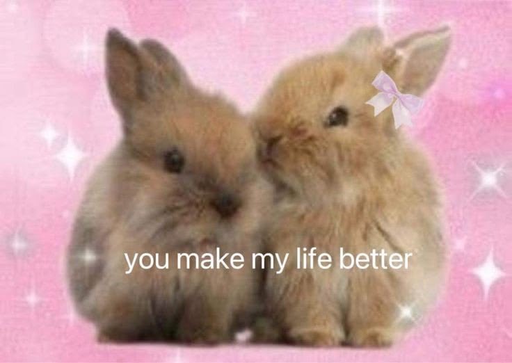 swugrbunnie's tweet photo. https://t.co/nxPgfB8Pvx