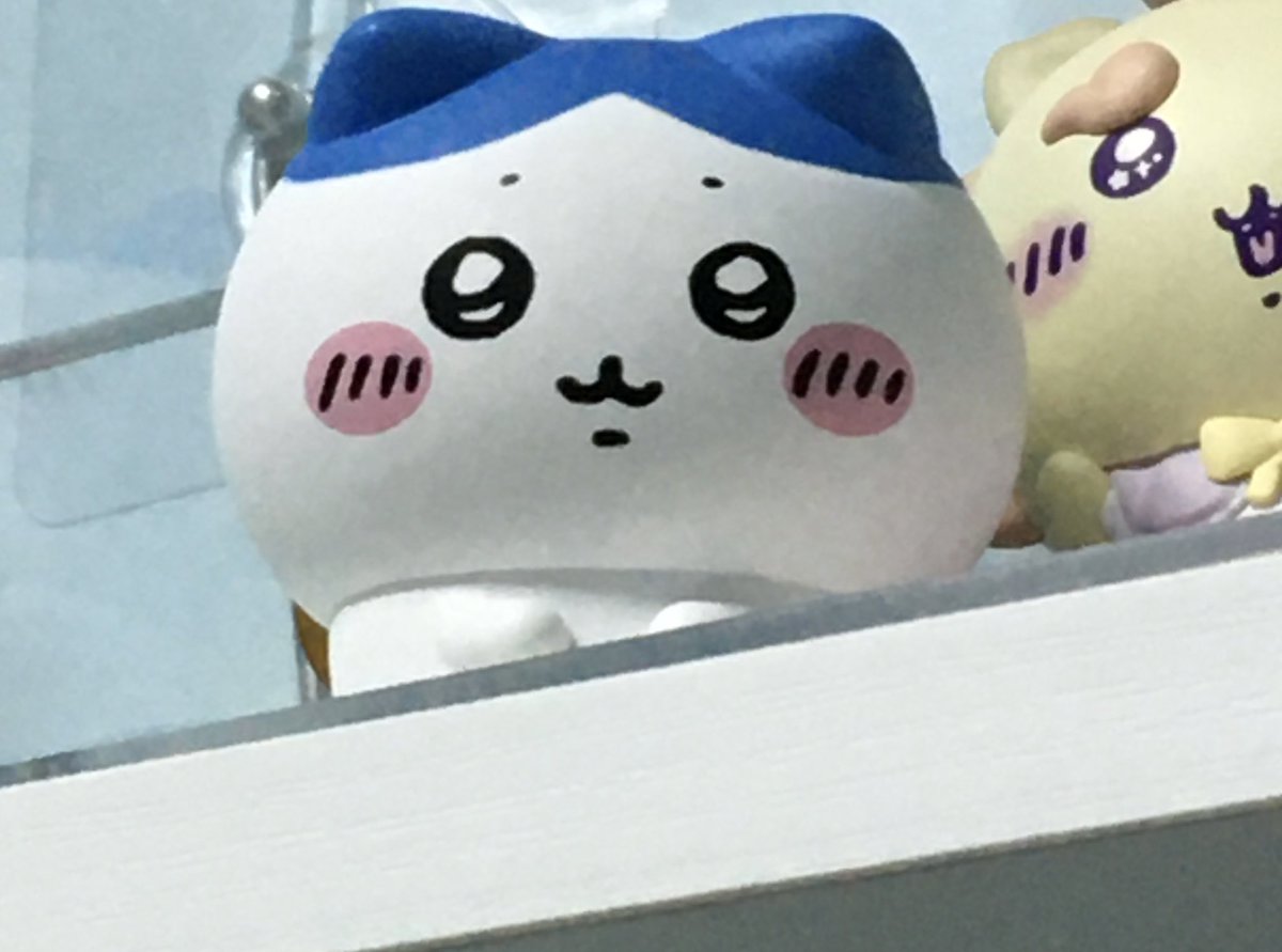 kill2rwh6le's tweet photo. 누가 
저 
감시해요 https://t.co/tsvZ2o1g9j