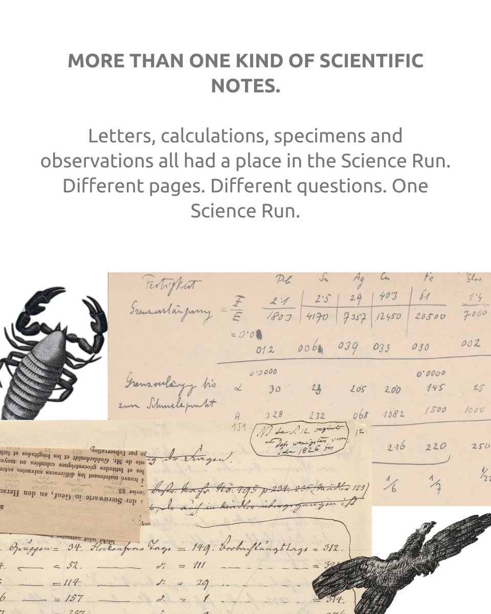 transcribathon's tweet photo. The Europeana Science Run closes today.

From insects and handwritten calculations to scientific notes and correspondence, every page offers something different to discover.

Join the Run: https://t.co/AQRjM3hiCn
#CitizenScience #DigitalHumanities #Transcription #OpenScience https://t.co/M3BpX9mQ6M