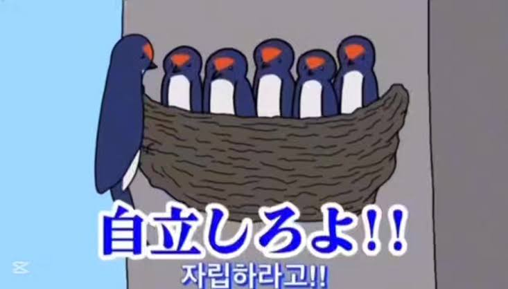 nutella_jammy's tweet photo. https://t.co/DFE2WWdumB