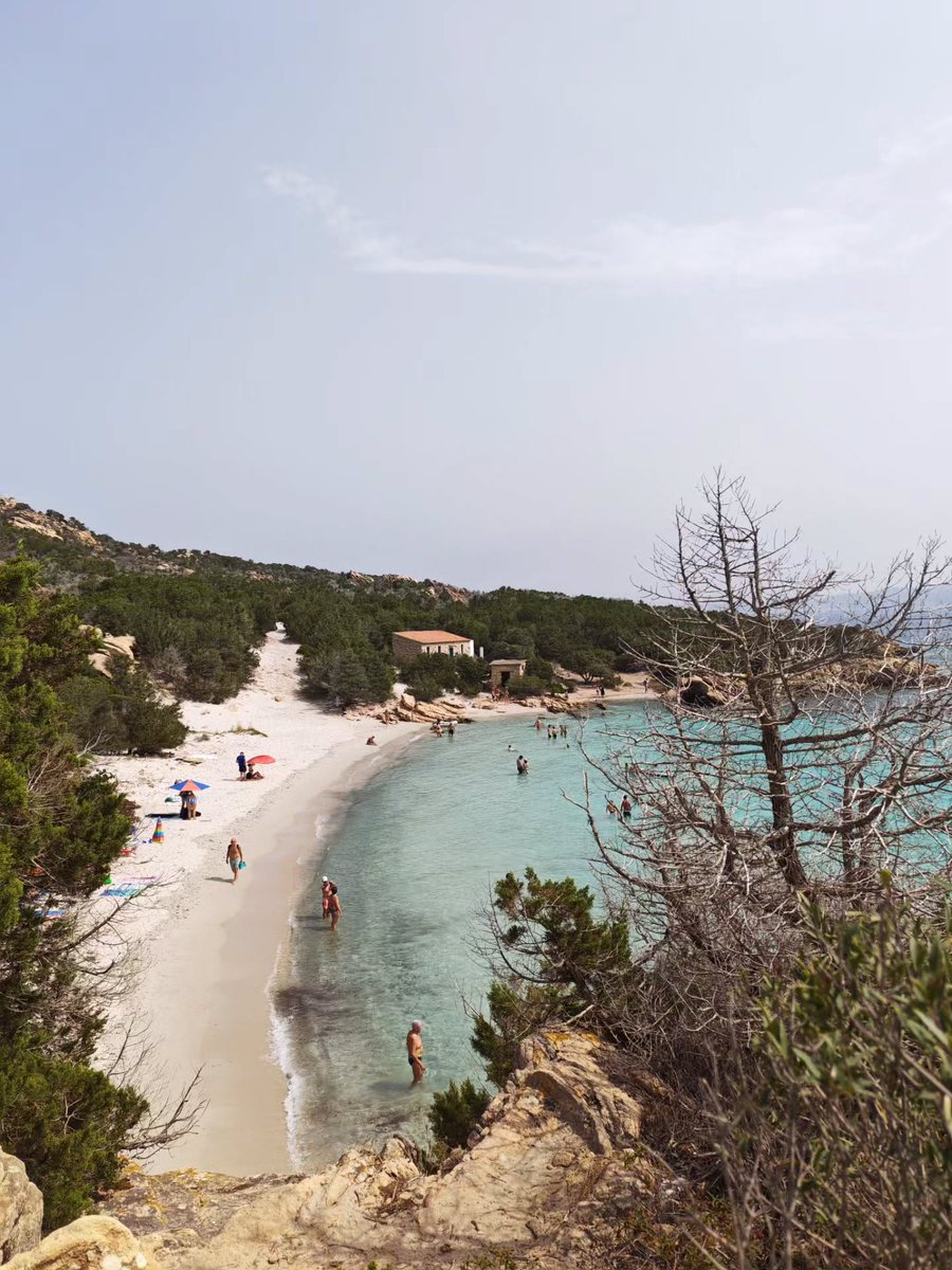 mano_braw's tweet photo. Cala Granara Wild💚 https://t.co/L9s5nqW1wb