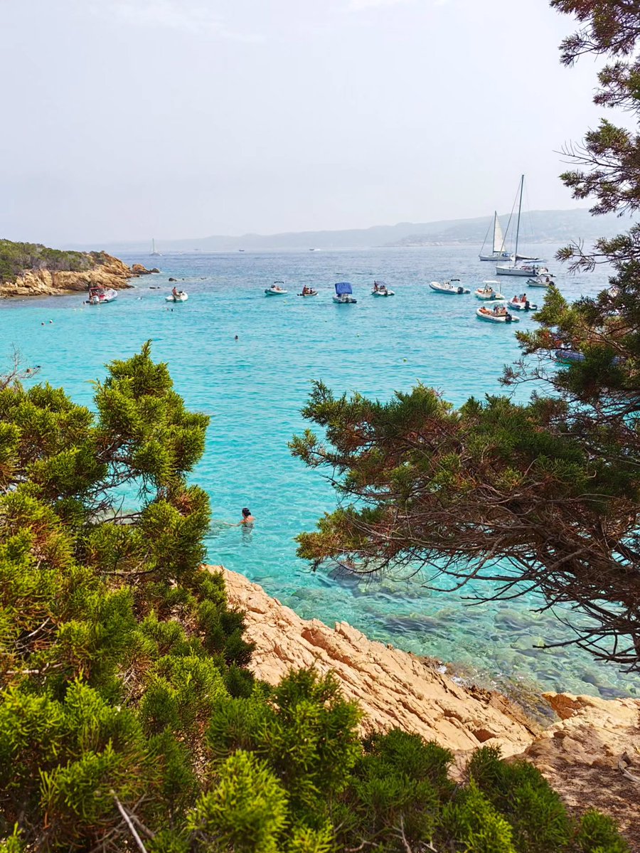 mano_braw's tweet photo. Cala Granara Wild💚 https://t.co/L9s5nqW1wb