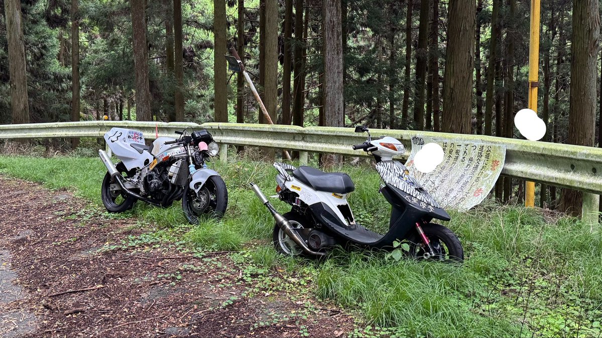 nossowoop's tweet photo. この地域が大好きです https://t.co/AYCFoXXMXF