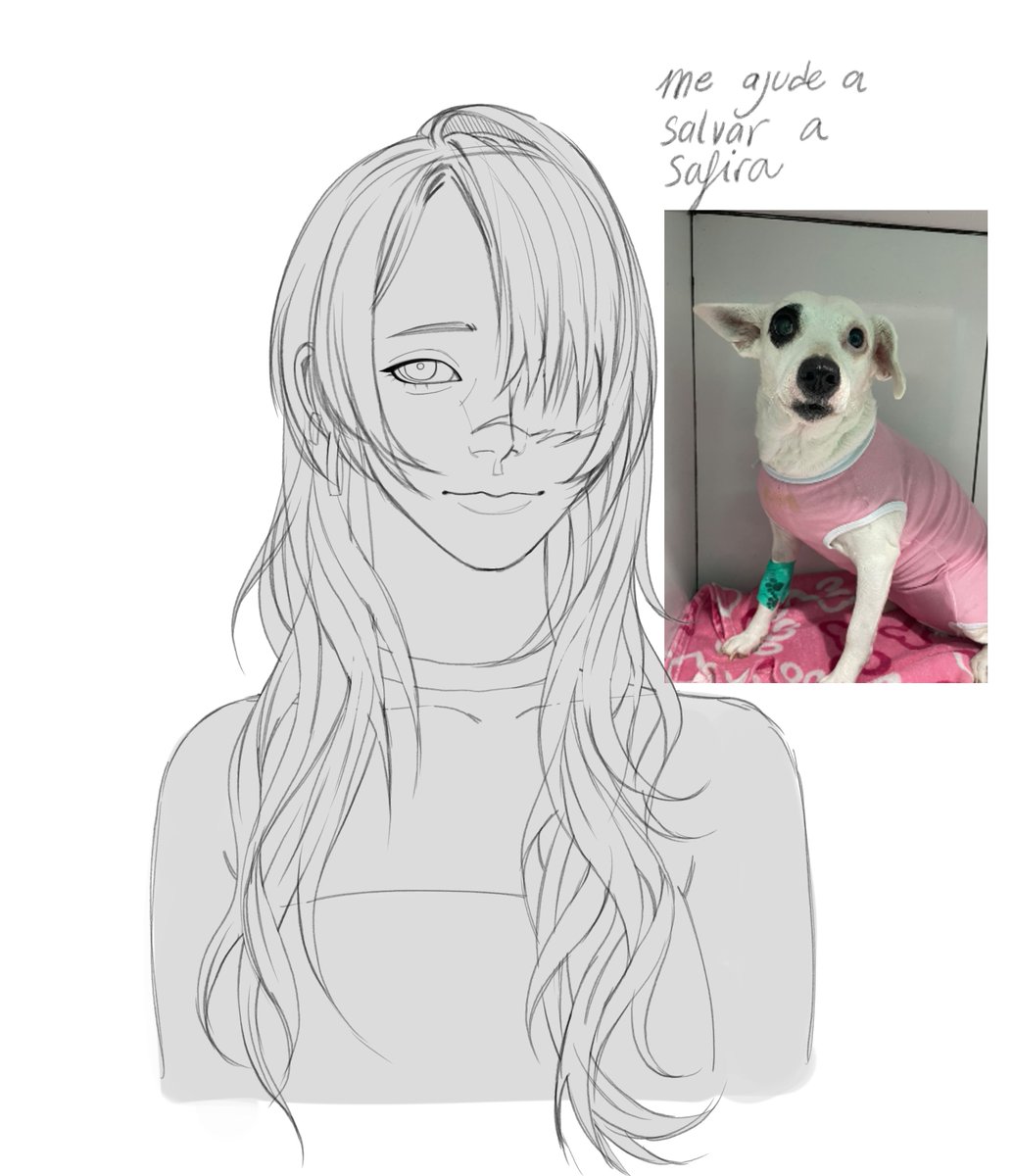 natysa_art's tweet photo. COMMISSONS POR 10 REAIS, ME AJUDEM POR FAVOR, preciso internar minha cachorrinha, mande o comprovante do pix da chave dos comentários e o personagem do desenho, compartilhem para ajudar a salvar meu amorzinho<3 https://t.co/7giGMmPQq1