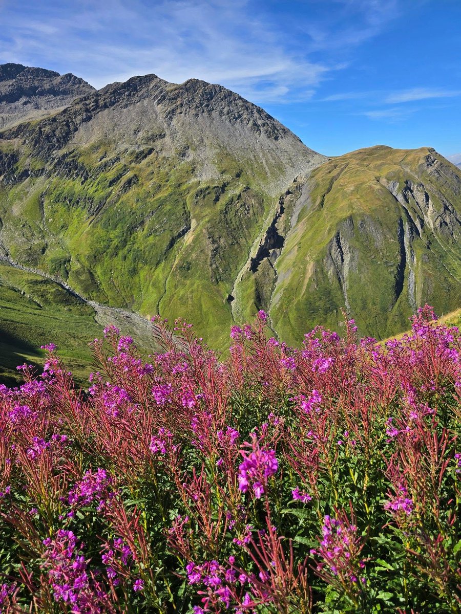 AM_Darkness's tweet photo. #splendid_mountains #awesome_earthpix #outdoors #fantastic_earth #swissviews https://t.co/vWwZuHO65P