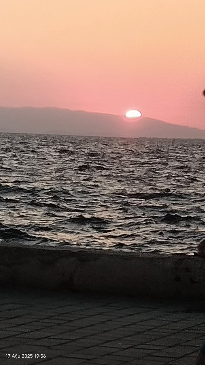slnyns_4601's tweet photo. "Kimseyi o kadar iyi tanıyamazsın!
Herkesin içinde gizli bir odası vardır..."

- Michael Connelly https://t.co/tF21pHcbJr