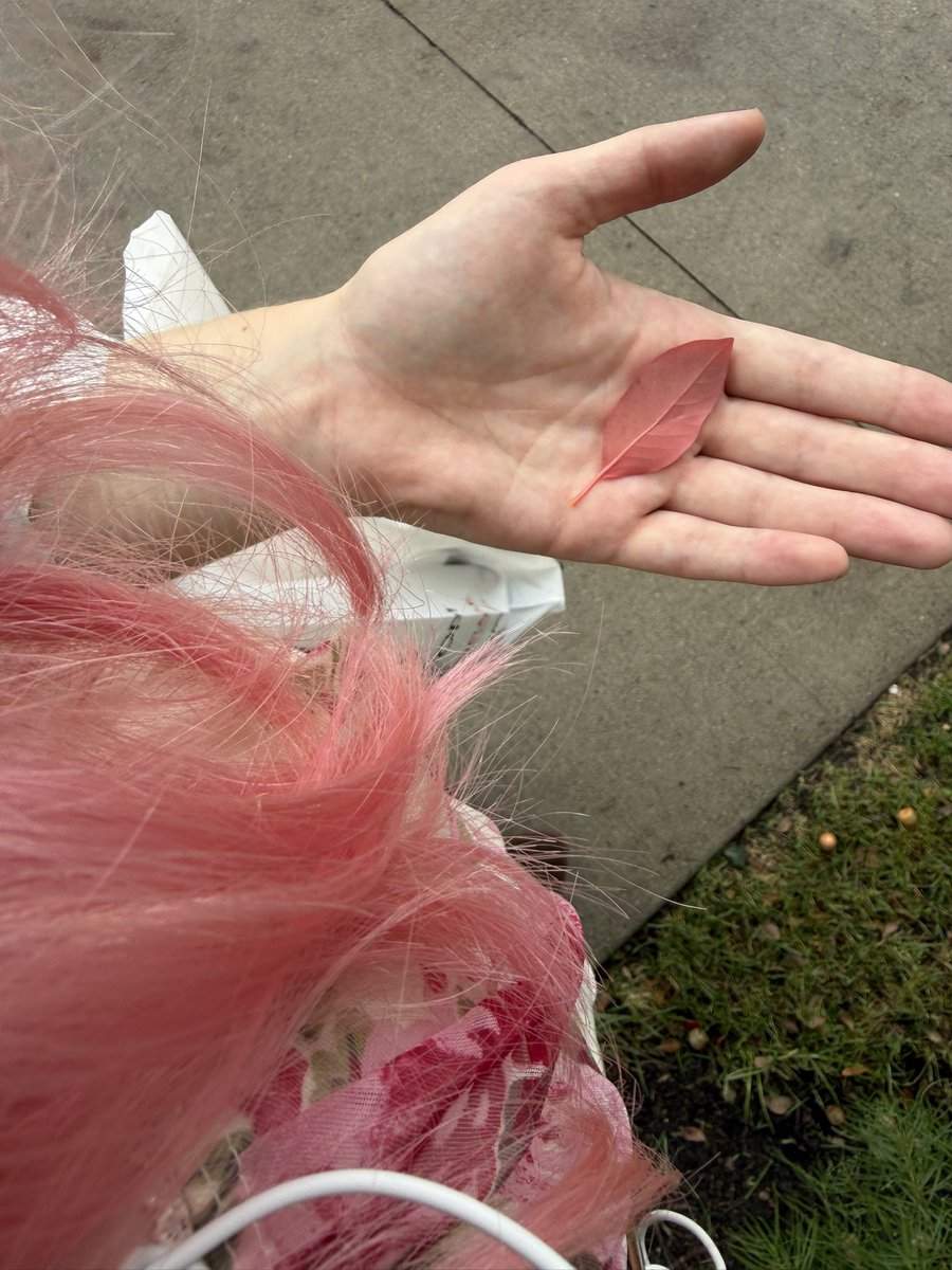 puddingwife's tweet photo. when the wet sidewalk leaf is the same color as my hair ^_^ https://t.co/AAFOkwoT07