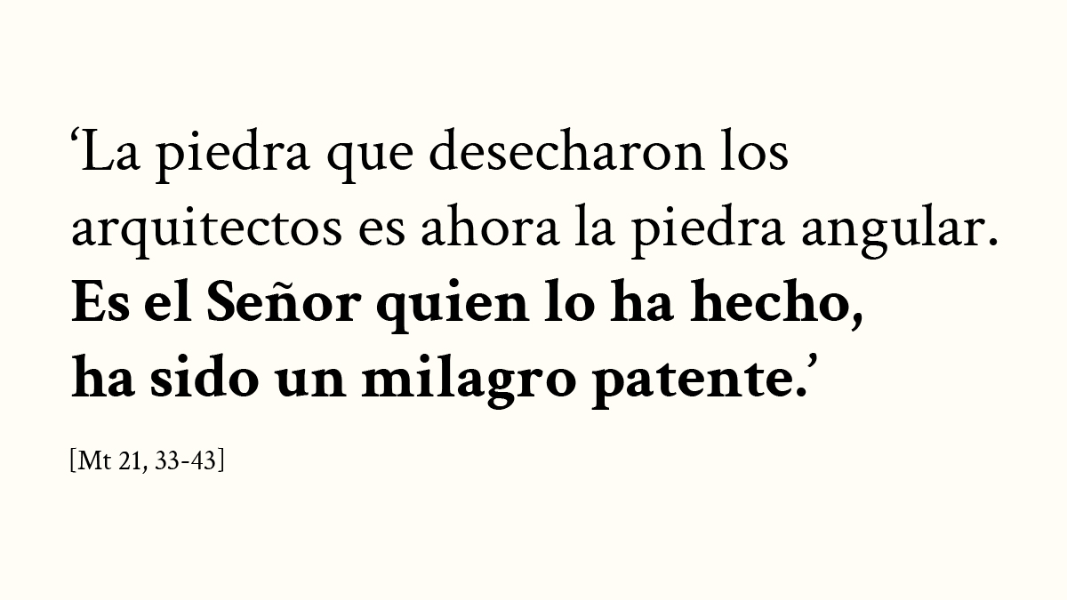 CatedraldeSev's tweet photo. Evangelio: XXVII Domingo del tiempo ordinario. [Mt 21, 33-43]

En aquel tiempo, dijo Jesús a los sumos sacerdotes y a los ancianos del pueblo:

«Escuchad otra parábola: “Había un propietario que plantó una viña, la rodeó con una cerca, cavó en ella un lagar, construyó una torre, la arrendó a unos labradores y se marchó lejos. Llegado el tiempo de los frutos, envió sus criados a los labradores para percibir los frutos que le correspondían. Pero los labradores, agarrando a los criados, apalearon a uno, mataron a otro y a otro lo apedrearon.

Envió de nuevo otros criados, más que la primera vez, e hicieron con ellos lo mismo. Por último, les mandó a su hijo diciéndose: ‘Tendrán respeto a mi hijo’.

Pero los labradores, al ver al hijo se dijeron: ‘Este es el heredero: venid, lo matamos y nos quedamos con su herencia’.

Y agarrándolo, lo sacaron fuera de la viña y lo mataron. Cuando vuelva el dueño de la viña, ¿qué hará con aquellos labradores?».

Le contestan:
«Hará morir de mala muerte a esos malvados y arrendará la viña a otros labradores que le entreguen los frutos a su tiempo».

Y Jesús les dice:
«No habéis leído nunca en la Escritura:

“La piedra que desecharon los arquitectos
es ahora la piedra angular.
Es el Señor quien lo ha hecho,
ha sido un milagro patente”

Por eso os digo que se os quitará a vosotros el reino de Dios y se dará a un pueblo que produzca sus frutos».

#EvangelioDelDía