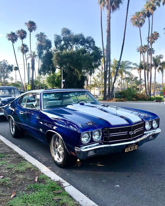 Emma646479zzm's tweet photo. 1970 Chevrolet Chevelle SS — Deep blue with white dual racing stripes, chrome bumper and polished wheels.🐝 https://t.co/6UujbCulEm