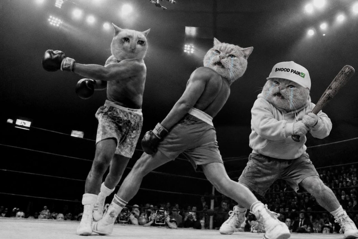 VraxToken's tweet photo. $VRAX is coming to take what belongs to the hood, with the baseball bat.

Buy a blue tick lil’ bro u seem poor https://t.co/INkwtQoHYe