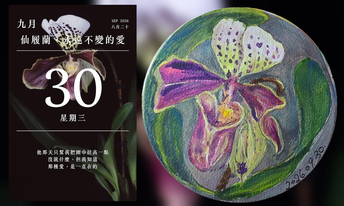 adder915a's tweet photo. 今日花語曆
2026年09月30日
【仙履蘭】（Slipper Orchid），又常被俗稱為拖鞋蘭，屬於蘭科拖鞋蘭亞科（Cypripedioideae）。
💐花語是「沉靜慎重的思慮，獨一無二的高雅與幸運」。
#2026年花語日曆 #花語日曆
https://t.co/9MO14LDBgc https://t.co/H3AIvSUVzi