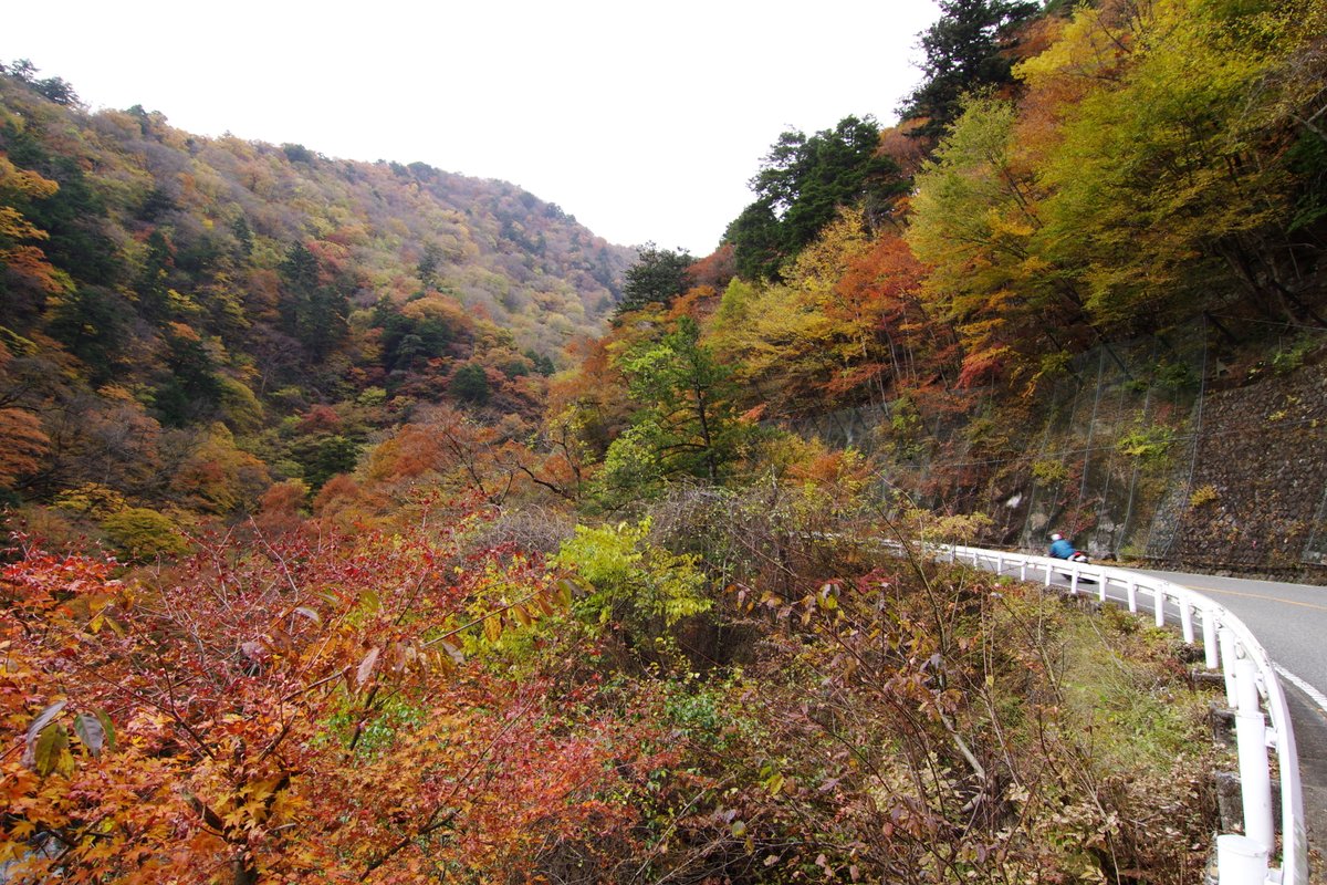 PENTAXXER's tweet photo. 上は最初(2010.11.13)に投稿した奥多摩の紅葉写真。
こちらは同日流れで行った西沢渓谷の写真。
この頃は小型二輪の免許取って、アドV🛵でまだ見ぬ風景写真求めて行動範囲を広げつつあるのと重なってたのでその点でも思い出深い。
🍁#紅葉 #リコペン風景部 #PENTAX #pentaxkr #pentax_da1224 https://t.co/TMWku1zbRt
