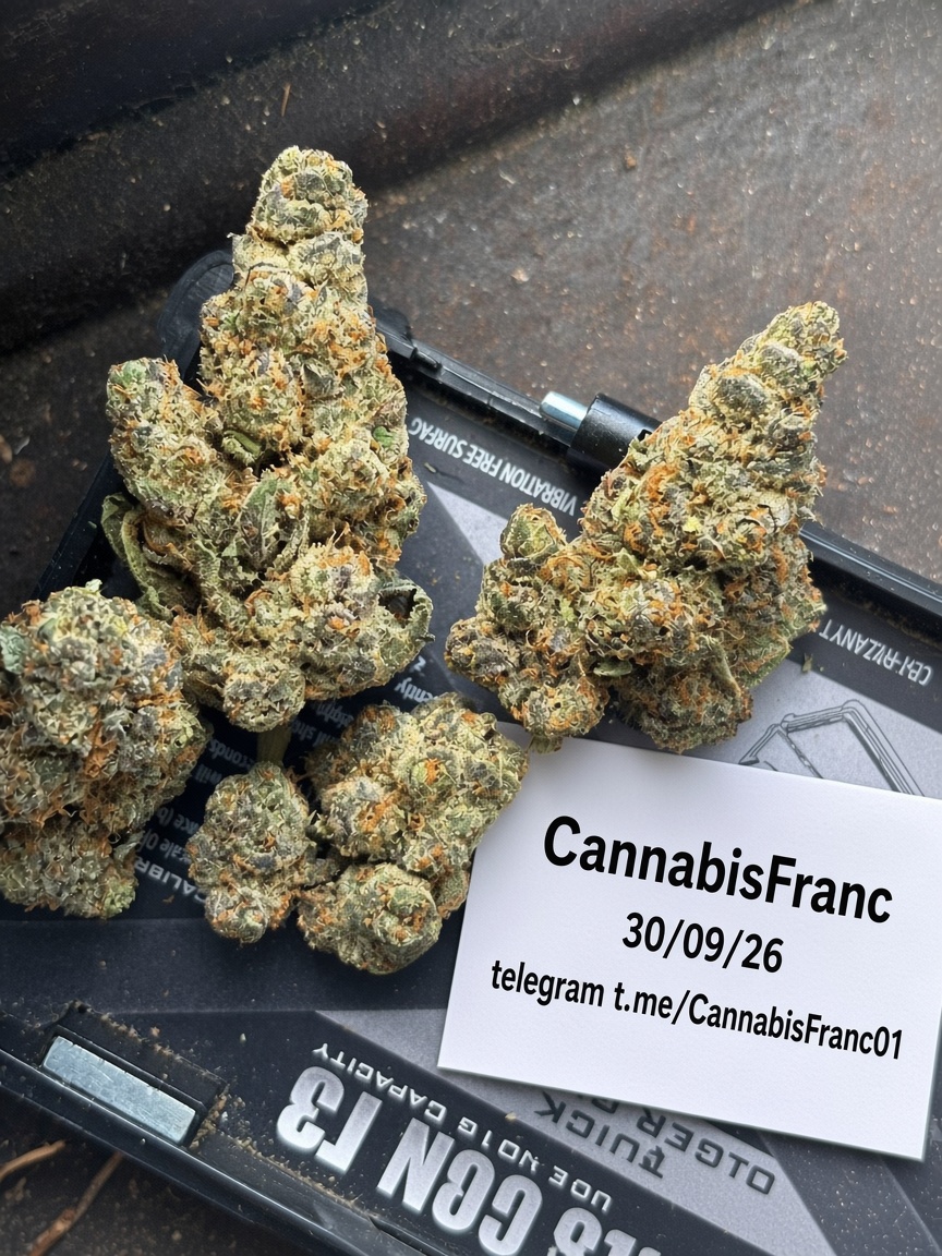 cannabisFranc's tweet photo. Weed op rapide/Discret
Télégram: https://t.co/OlMEChr3BG
#weed #shit #Paris #Pointivy #Toulouse #Bordeaux #Marseille #Rennes #Ploërmel #Lille #Saintes #Avignon #Rouen #Arcachon #Libourne #poitiers #Dijon https://t.co/pwuKNv1uPZ
