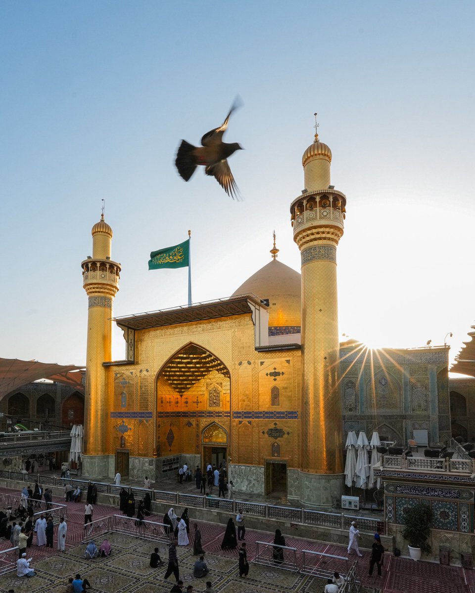 imamalinet's tweet photo. بحبِّ عليٍّ يهتفُ القلبُ كلّما
يمرُّ على الصحنِ الشريفِ وينبضُ
#ياعلي https://t.co/aAoFZnQsD0