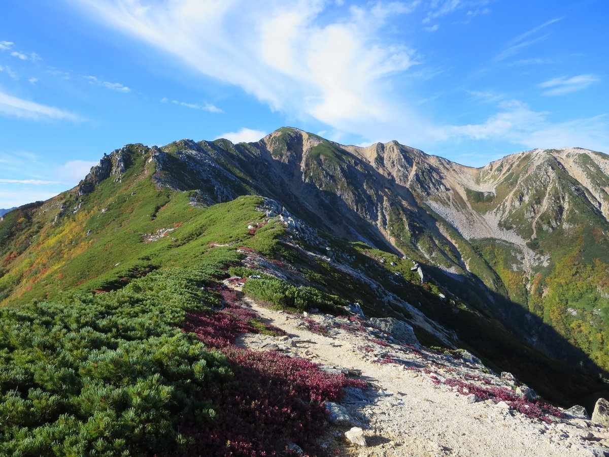 shityosyasamaDM's tweet photo. 【読売新道で30m滑落、肋骨骨折の重傷】

29日午後、水晶岳から下山中の54歳男性が読売新道で足を滑らせ、約30m滑落。
自力で登山道に這い上がり山小屋で一夜を過ごしましたが、翌30日に動けなくなり、県警ヘリで救助されました。
左肋骨などを折る重傷です。