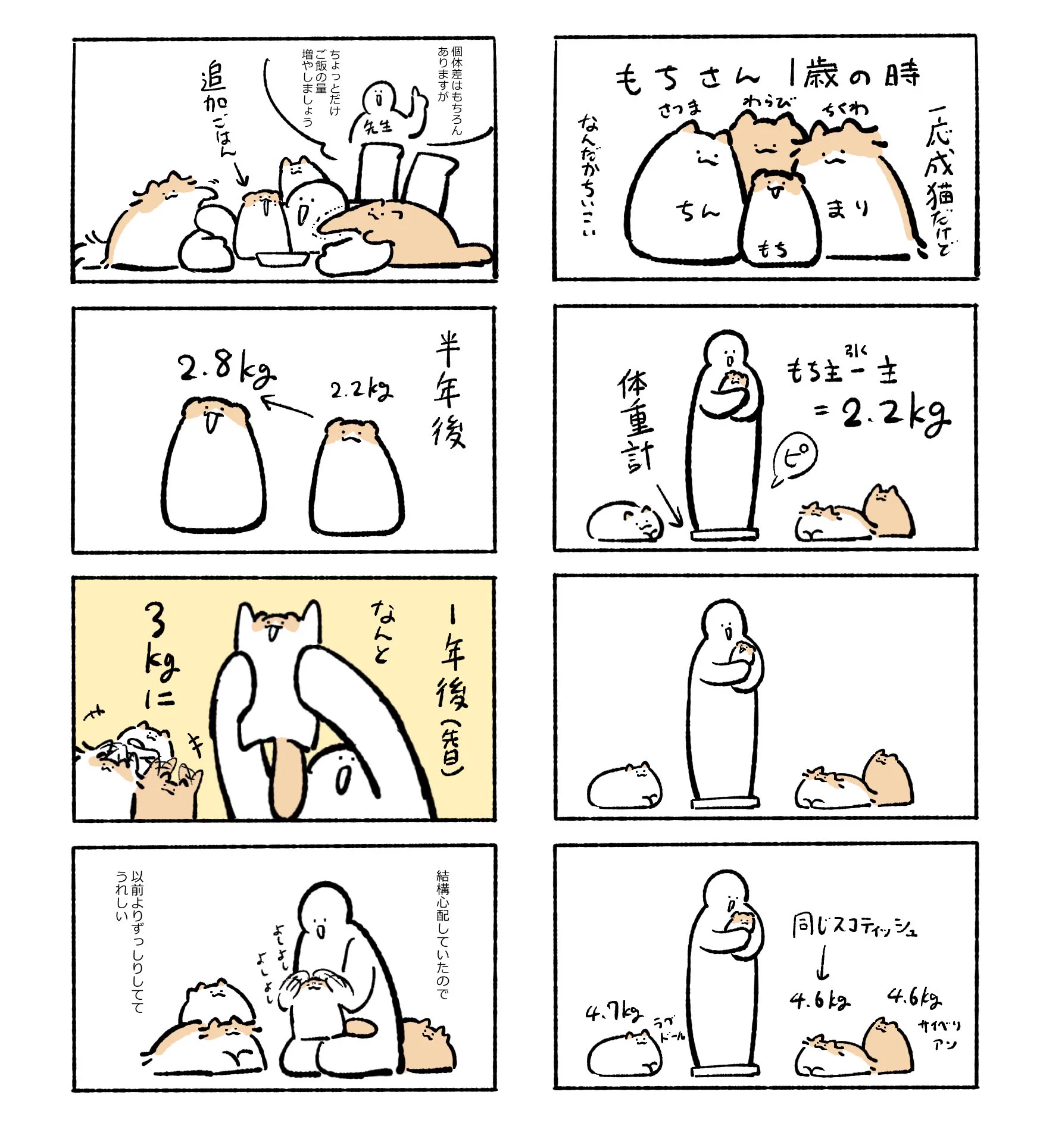 もちわさ日 on X: 