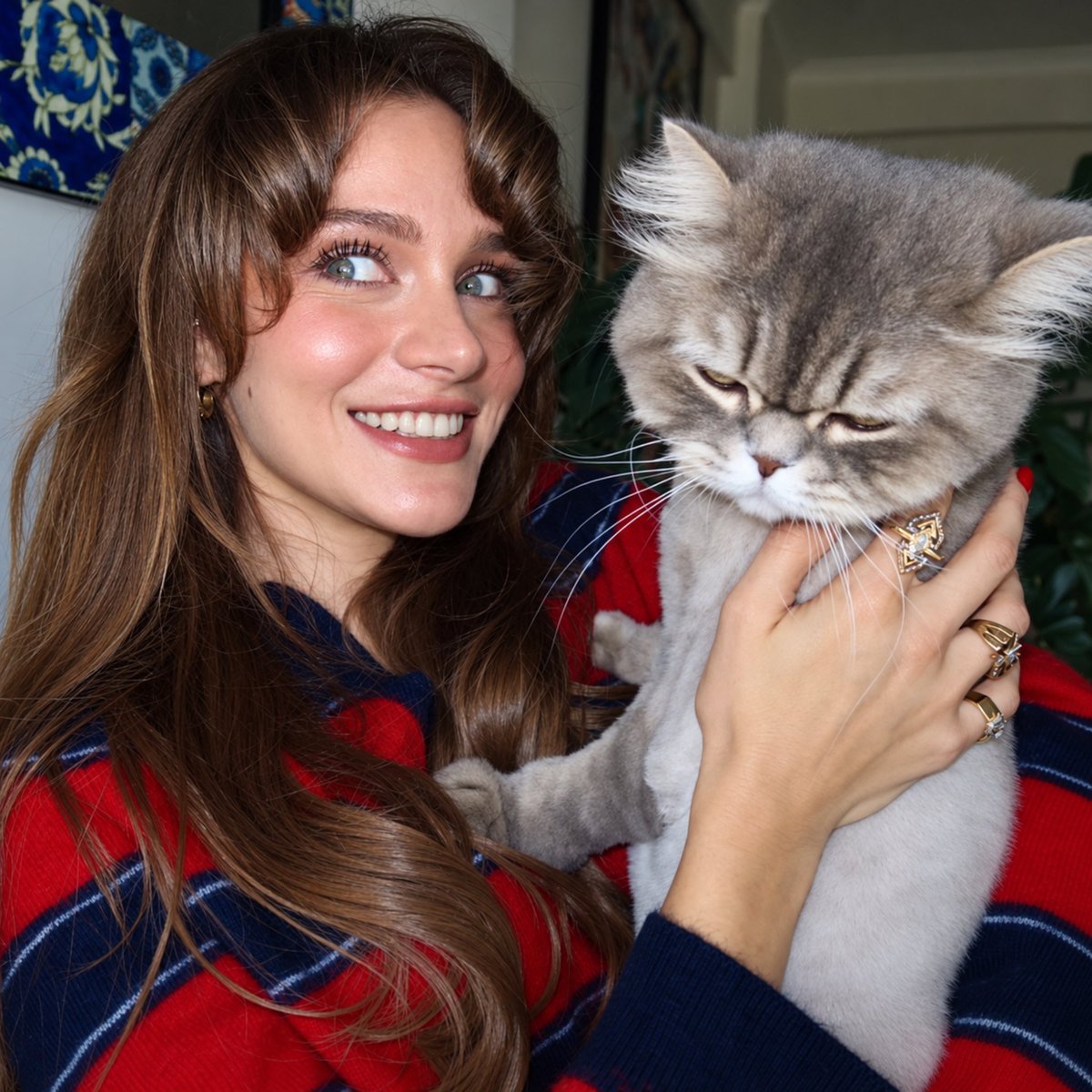 foumir_'s tweet photo. she's so cute 🐱♥️ https://t.co/m7Ji81HVQN