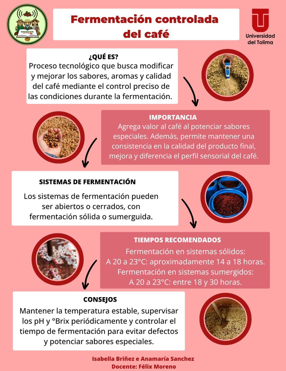 extensionandout's tweet photo. ☕🌱 Fermentación controlada del café: una etapa clave para desarrollar y diferenciar sus sabores y aromas.
El control de temperatura, pH, °Brix y tiempo permite obtener procesos más consistentes y reducir la aparición de defectos. 🌿✨
#ExtensionandoUT https://t.co/oe4AxNwTM5