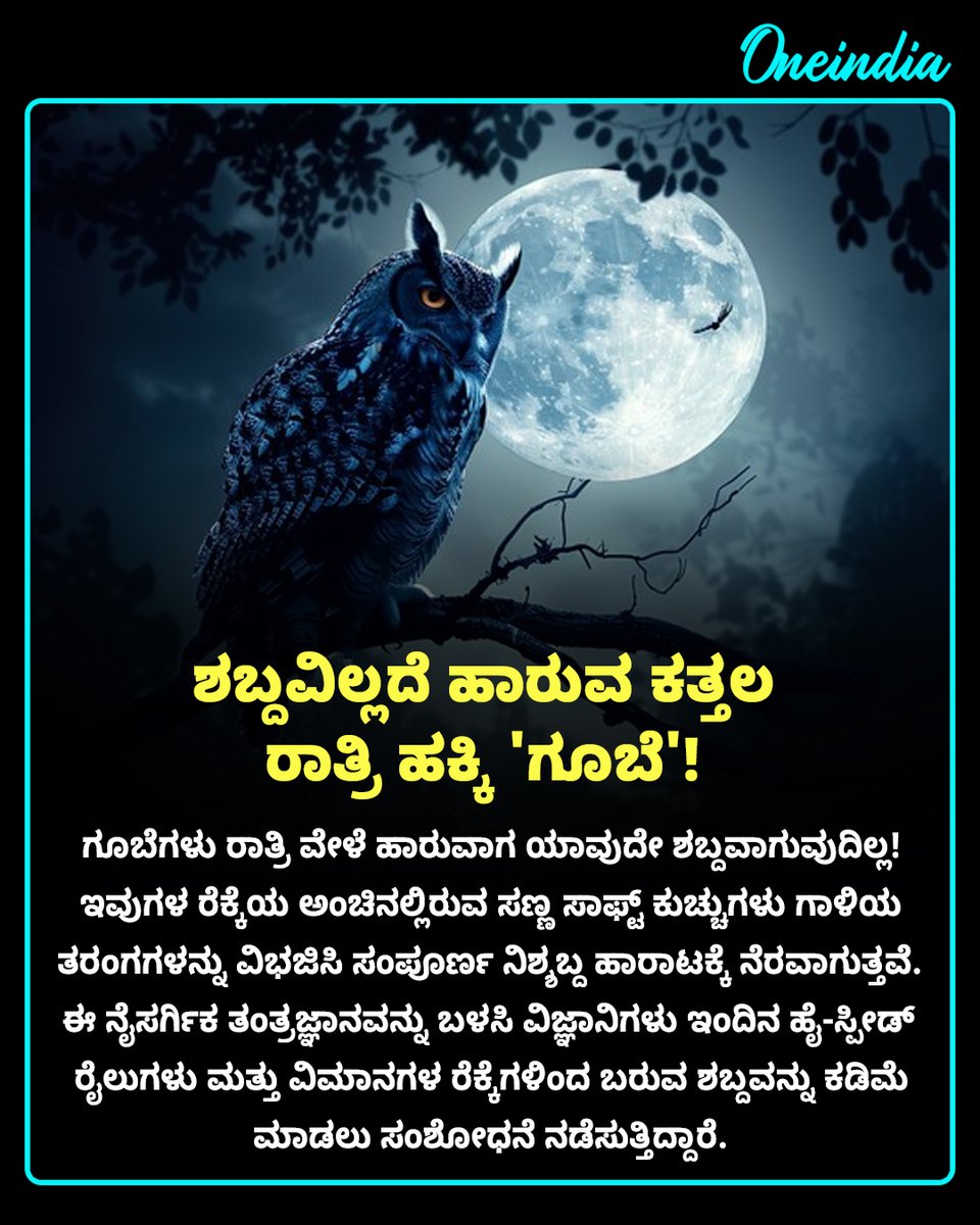 OneindiaKannada's tweet photo. ಶಬ್ದವಿಲ್ಲದೆ ಹಾರುವ ಕತ್ತಲ ರಾತ್ರಿ ಹಕ್ಕಿ 'ಗೂಬೆ'! ಗೂಬೆಗಳ ರೆಕ್ಕೆಗಳಲ್ಲಿರುವ ವಿಸ್ಮಯಕಾರಿ ತಂತ್ರಜ್ಞಾನ!
#AmazingFactsKannada #OwlFacts #OIKannada #OffBeat #NatureWonders #ScienceFactsKannada https://t.co/r0JmWgAmEV