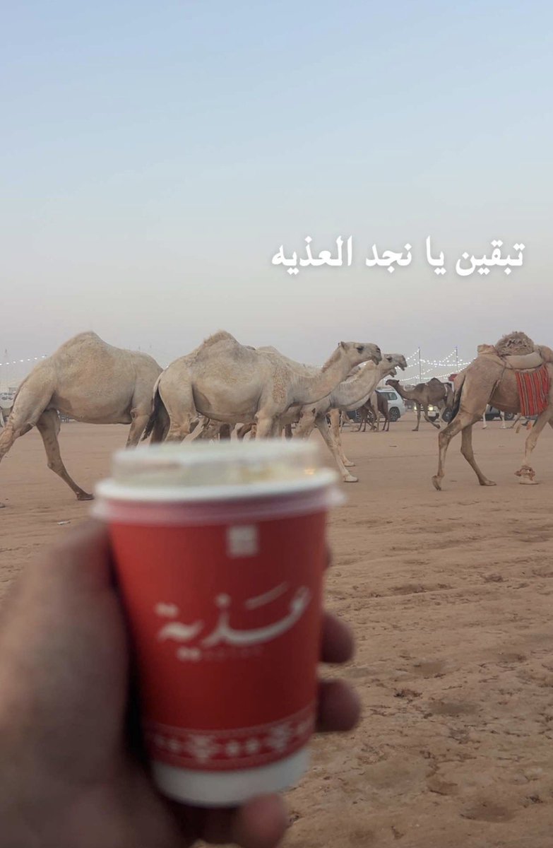 Nas02008's tweet photo. عصرية ممتعة في مزاد ساجر 🖤. https://t.co/BgbxC3XELu