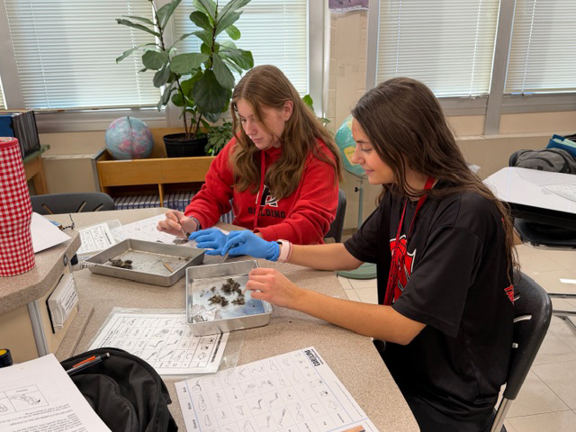 ASHSCavaliers's tweet photo. Students in Ms. Mohs's Introduction to Environmental Science class dissected owl pellets in order to track movement of energy in a trophic pyramid and practice food webs. https://t.co/hGJooqDg9J