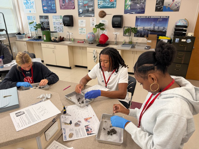 ASHSCavaliers's tweet photo. Students in Ms. Mohs's Introduction to Environmental Science class dissected owl pellets in order to track movement of energy in a trophic pyramid and practice food webs. https://t.co/hGJooqDg9J