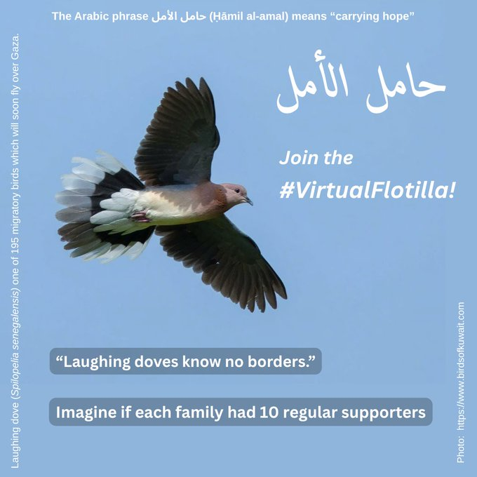 VirtualFlotilla's tweet photo. Here's a 🧵dedicated to #families with #babies in Gaza. 
Can we find families from around the world to greet the new little ones with a small gift and give their parents a little relief?  
https://t.co/7nhica8MKA https://t.co/oOdRXVtcGn