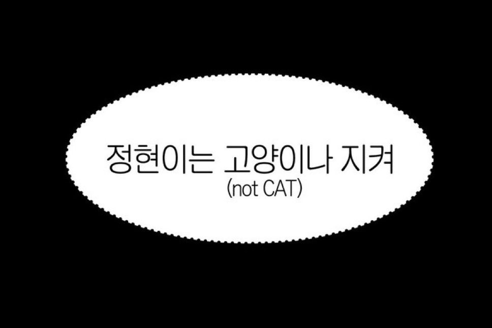 swansam121's tweet photo. 정현이는 고양이나 지켜(not cat, yes 꽃보다 아름다운사람들의 도시 고양입니다.) https://t.co/s7LpqCAVMz