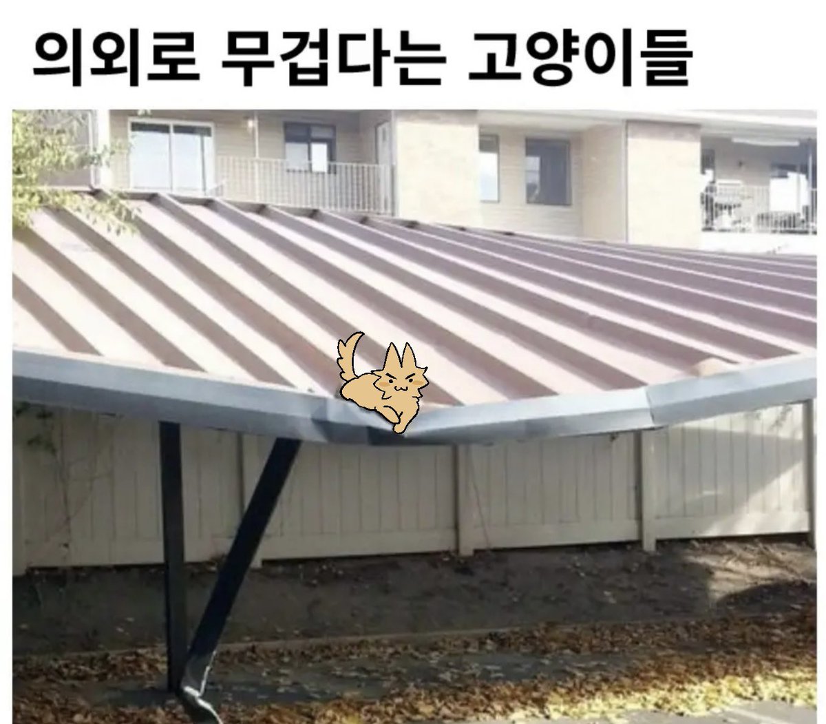 eunin_draw's tweet photo. 구냥이. https://t.co/vrBfI4HzJM