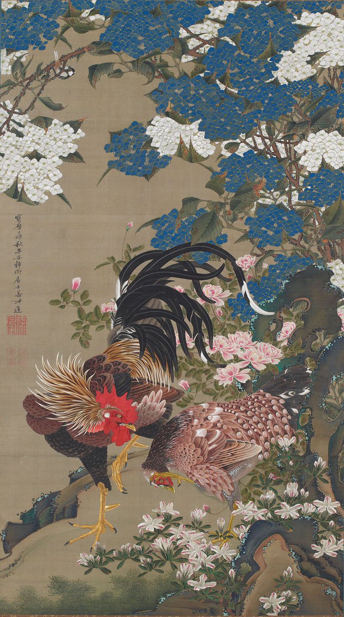 NihonBijutsushi's tweet photo. 伊藤 若冲　いとう じゃくちゅう　Itō Jakuchū　1716–1800

《動植綵絵　紫陽花双鶏図》国宝
どうしょくさいえ　あじさいそうけいず

1759年・18世紀・江戸時代
絹に彩色・掛軸30幅のうち
東京・皇居三の丸尚蔵館 https://t.co/6SRBIMJyHy