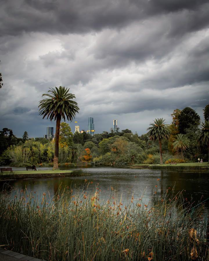 WorldCityX's tweet photo. It’s a treat around the Royal Botanic Gardens…💙 https://t.co/qg2QqZEv4g