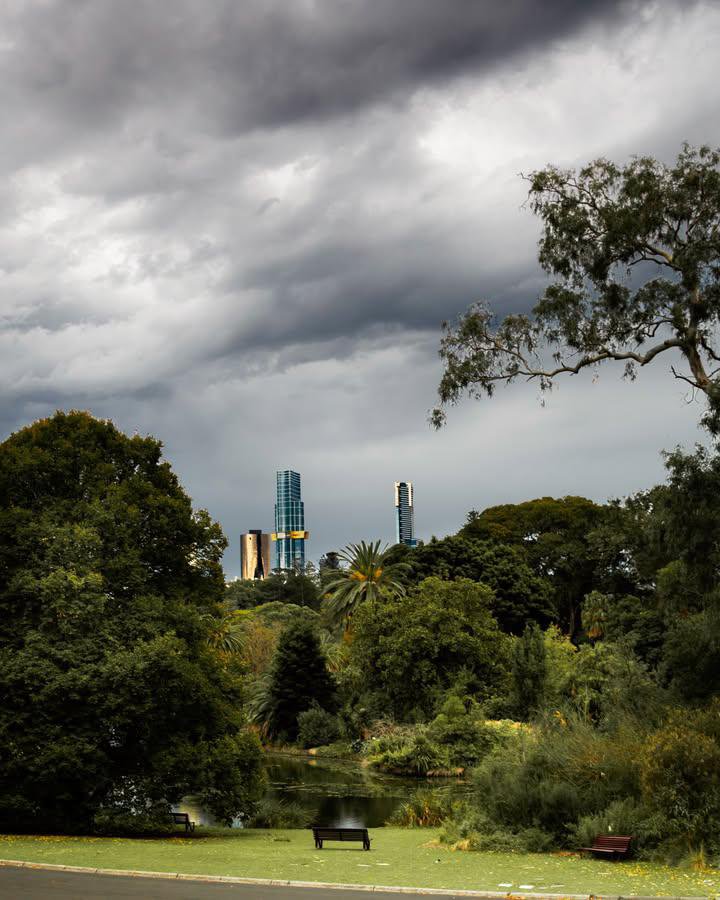 WorldCityX's tweet photo. It’s a treat around the Royal Botanic Gardens…💙 https://t.co/qg2QqZEv4g