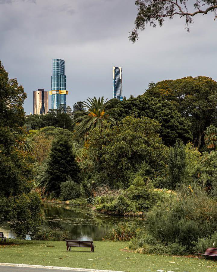 WorldCityX's tweet photo. It’s a treat around the Royal Botanic Gardens…💙 https://t.co/qg2QqZEv4g