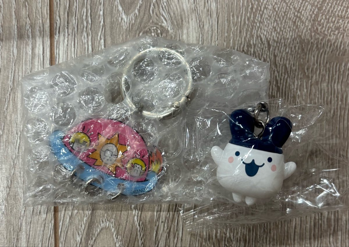 JH_5HINee's tweet photo. @hi_ragl 初めまして、検索より失礼いたします。
こちらとバボちゃんとの交換は可能でしょうか？
ご検討よろしくお願いいたします🙇‍♀️ https://t.co/rW57UM2Ban