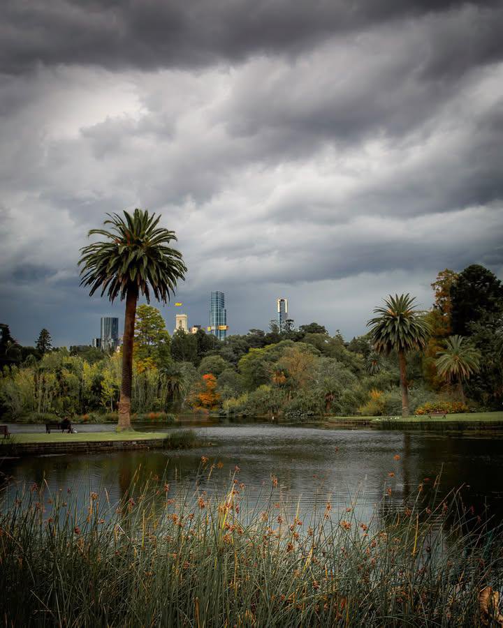 WorldCityX's tweet photo. It’s a treat around the Royal Botanic Gardens…💙 https://t.co/qg2QqZEv4g