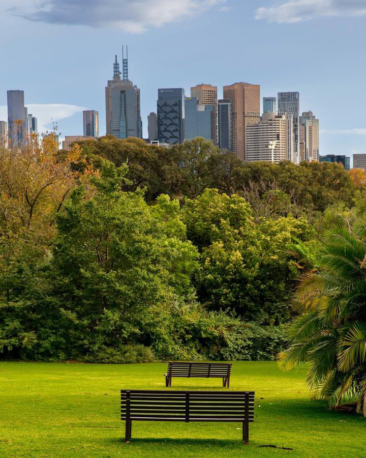 WorldCityX's tweet photo. It��s a treat around the Royal Botanic Gardens…💙 https://t.co/6IlMawBvuq