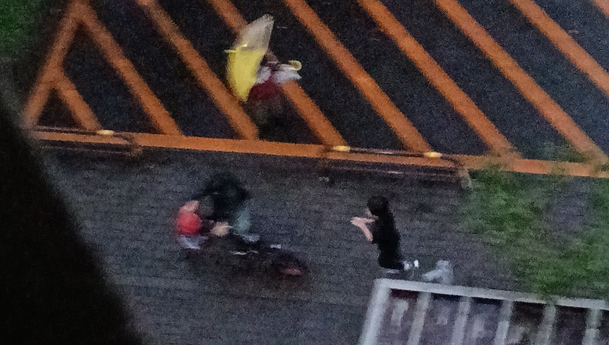 nanashidining's tweet photo. 雨の中外で遊んでるＴと仲間達。
駐輪場の雨どいの詰まりを解消してたらしい https://t.co/VM0nemjruI