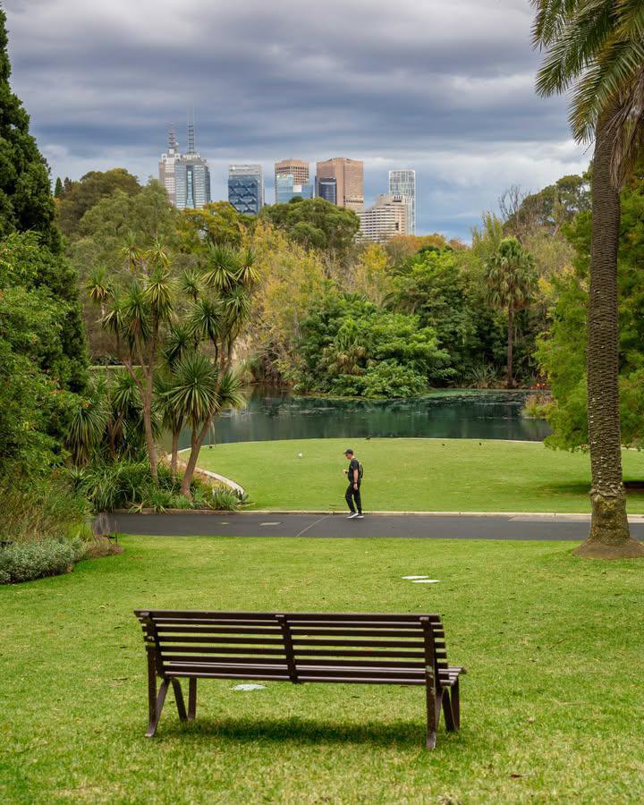 WorldCityX's tweet photo. It��s a treat around the Royal Botanic Gardens…💙 https://t.co/6IlMawBvuq